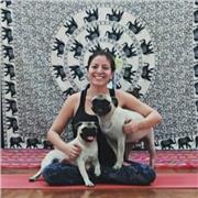Clases de Yoga Online y Presencial multinivel
